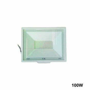 FM Projecteur 100w 38PRD10