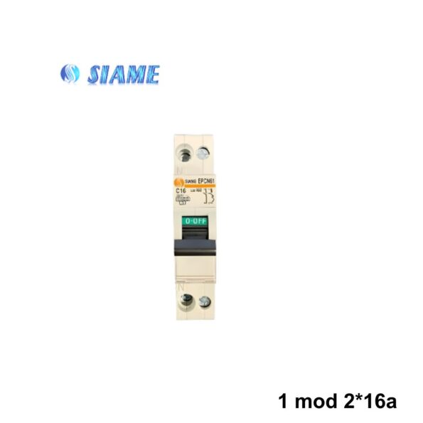 siame-disj-1-mod-216a-epcn61.jpg